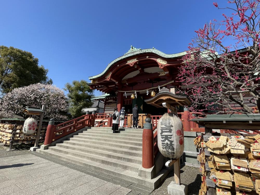 江東区文化観光ガイド　まちあるきイベントツアー「春待つ亀戸　梅香散歩」