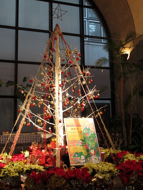 夢の島熱帯植物館12月開催イベント