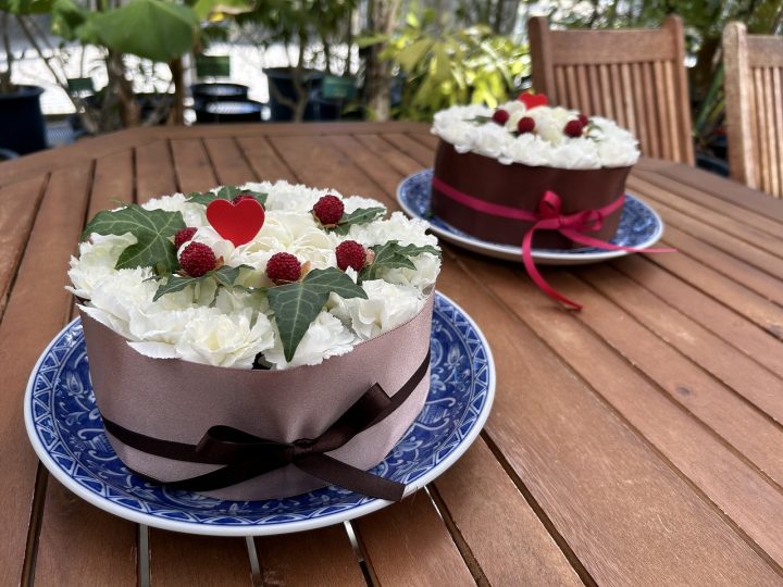 夢の島熱帯植物館　2月開催イベント