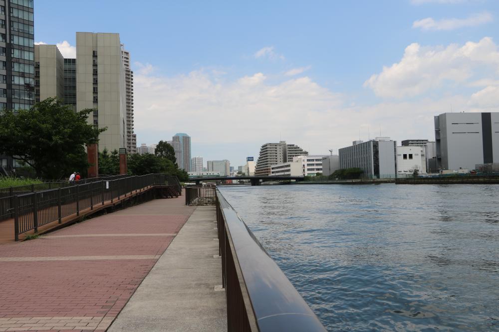 豊洲運河沿いの遊歩道(とよすうんがぞいのゆうほどう)