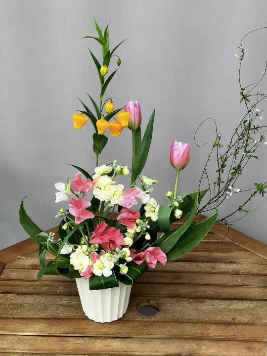 夢の島熱帯植物館　1月開催イベント