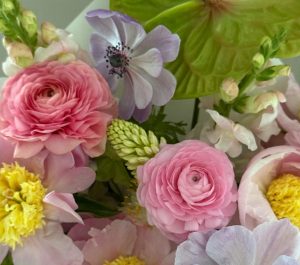 夢の島熱帯植物館　3月開催イベント