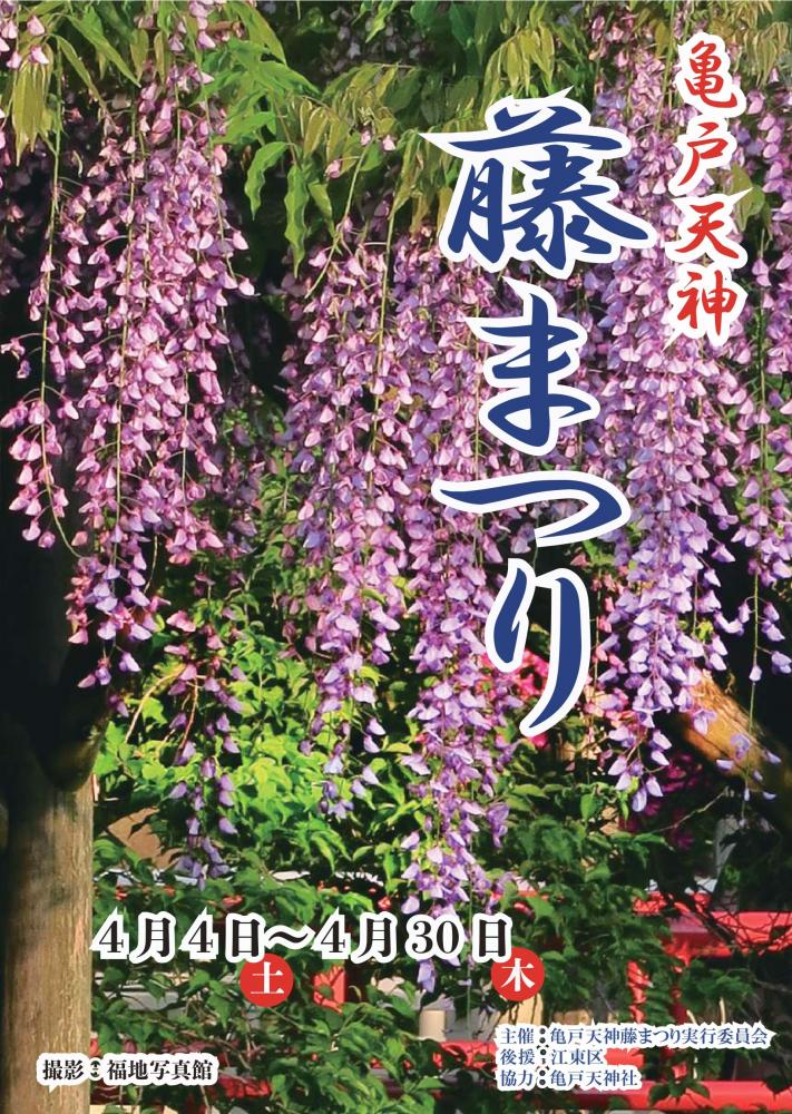 亀戸天神藤まつり