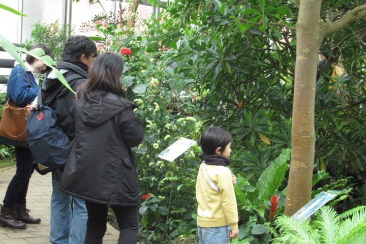 夢の島熱帯植物館<br>3月開催イベント