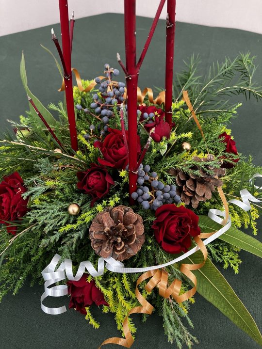 夢の島熱帯植物館　12月開催イベント