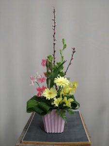 夢の島熱帯植物館　3月開催イベント