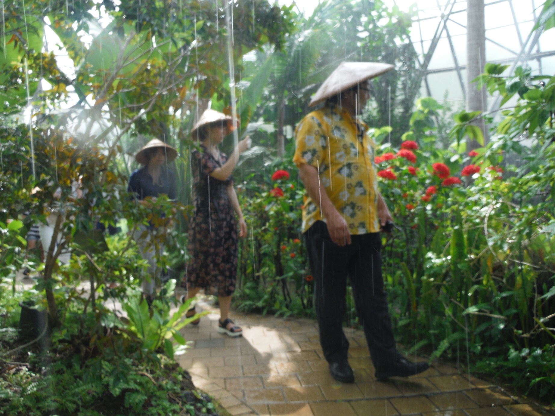 終了 夢の島熱帯植物館 夏季特別イベント イベント 江東おでかけ情報局
