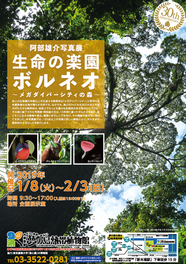 夢の島熱帯植物館2月開催イベント