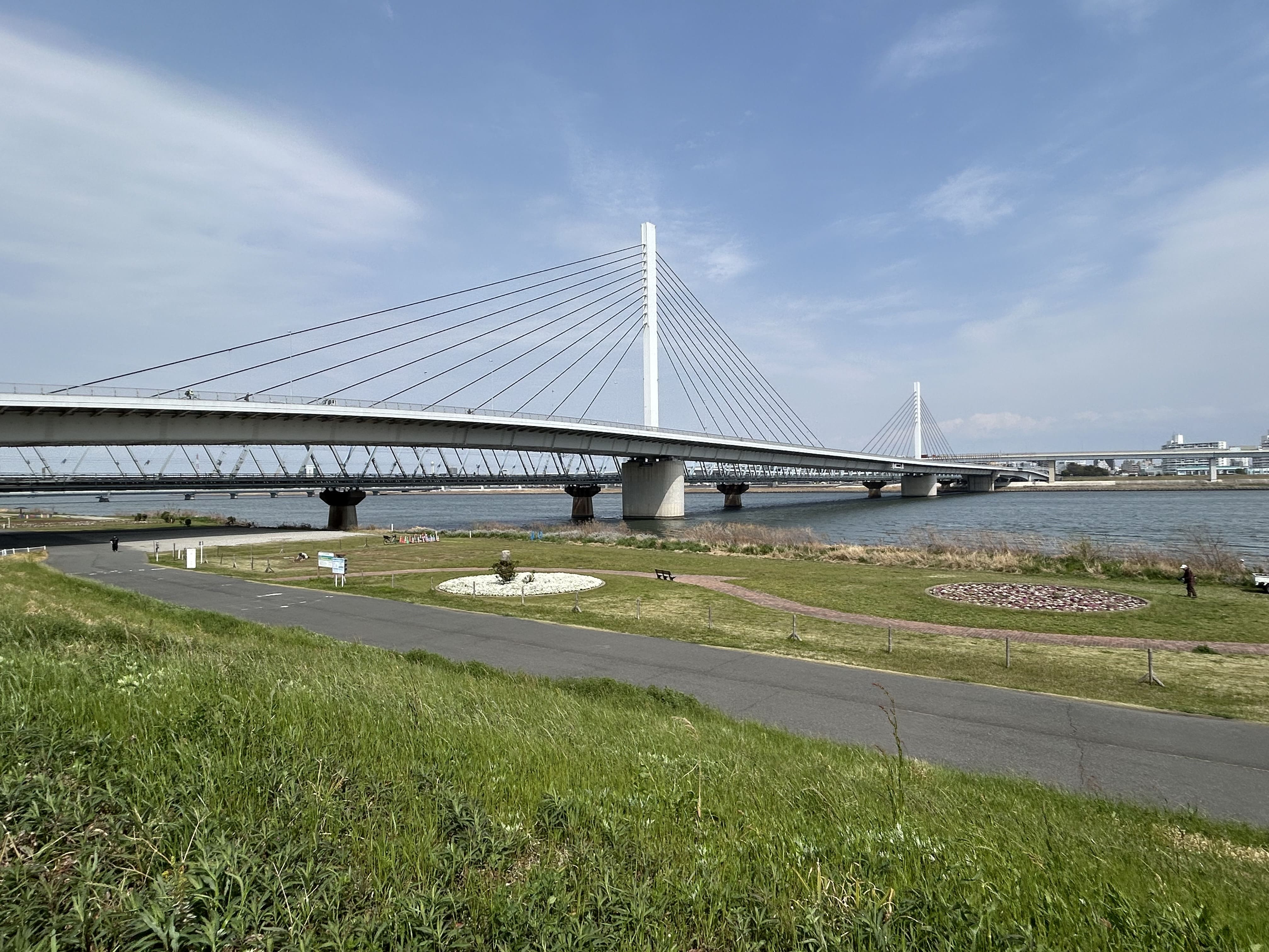 荒川砂町水辺公園 画像2