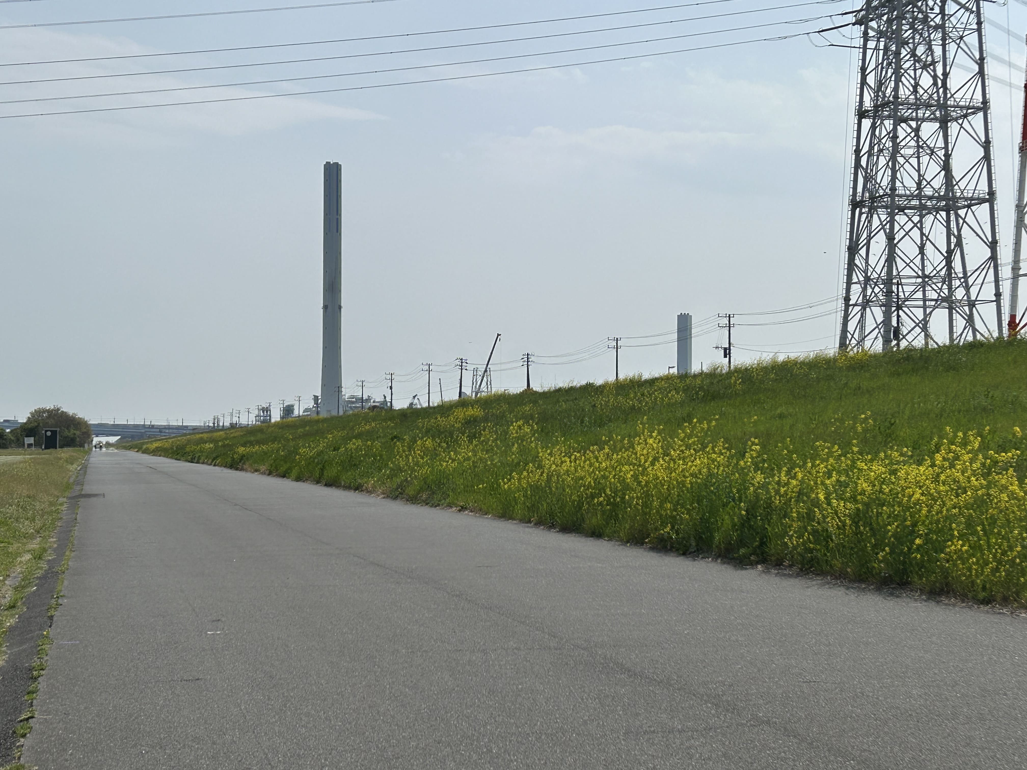 荒川砂町水辺公園 画像3