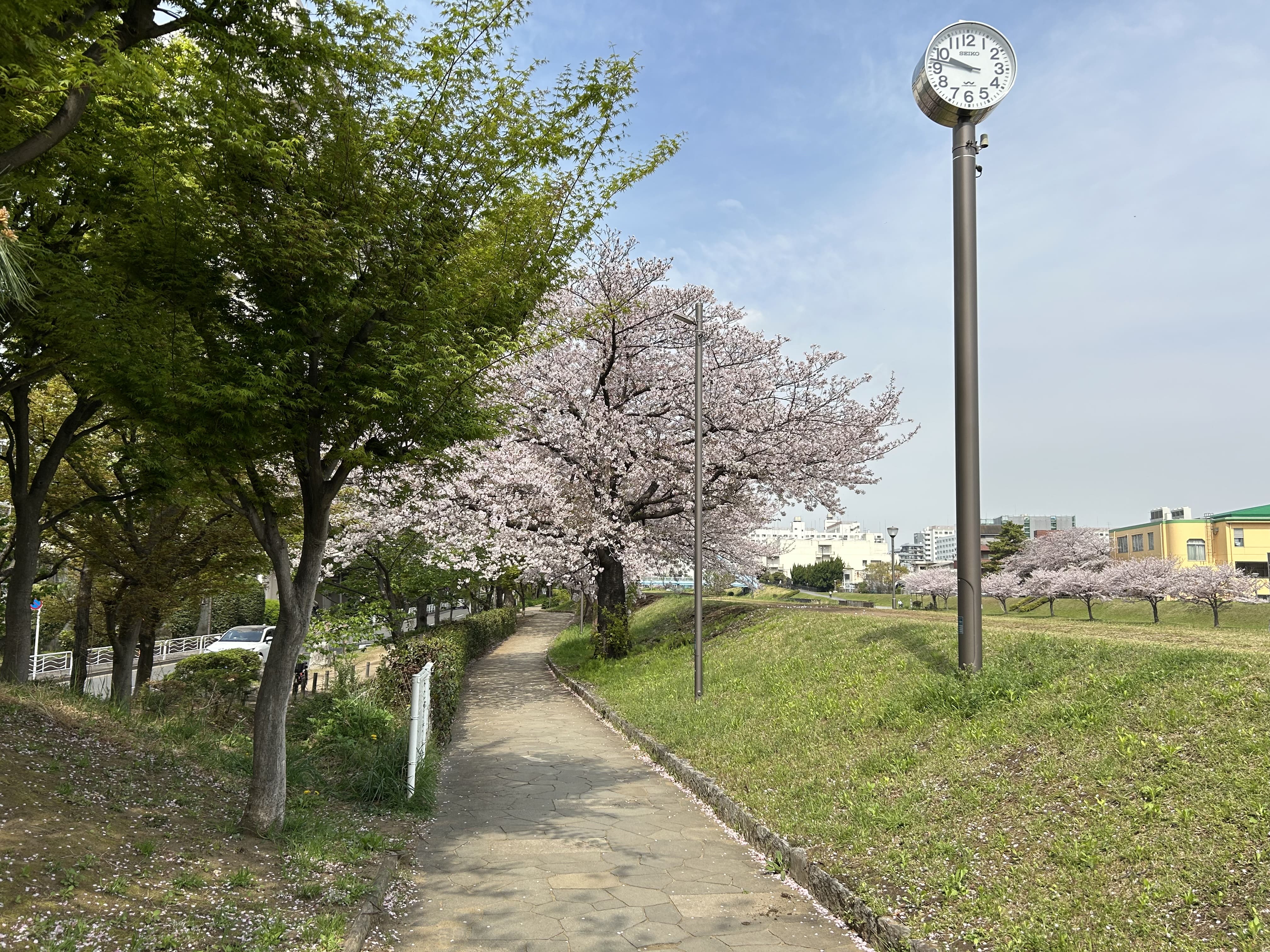 亀戸九丁目緑道公園