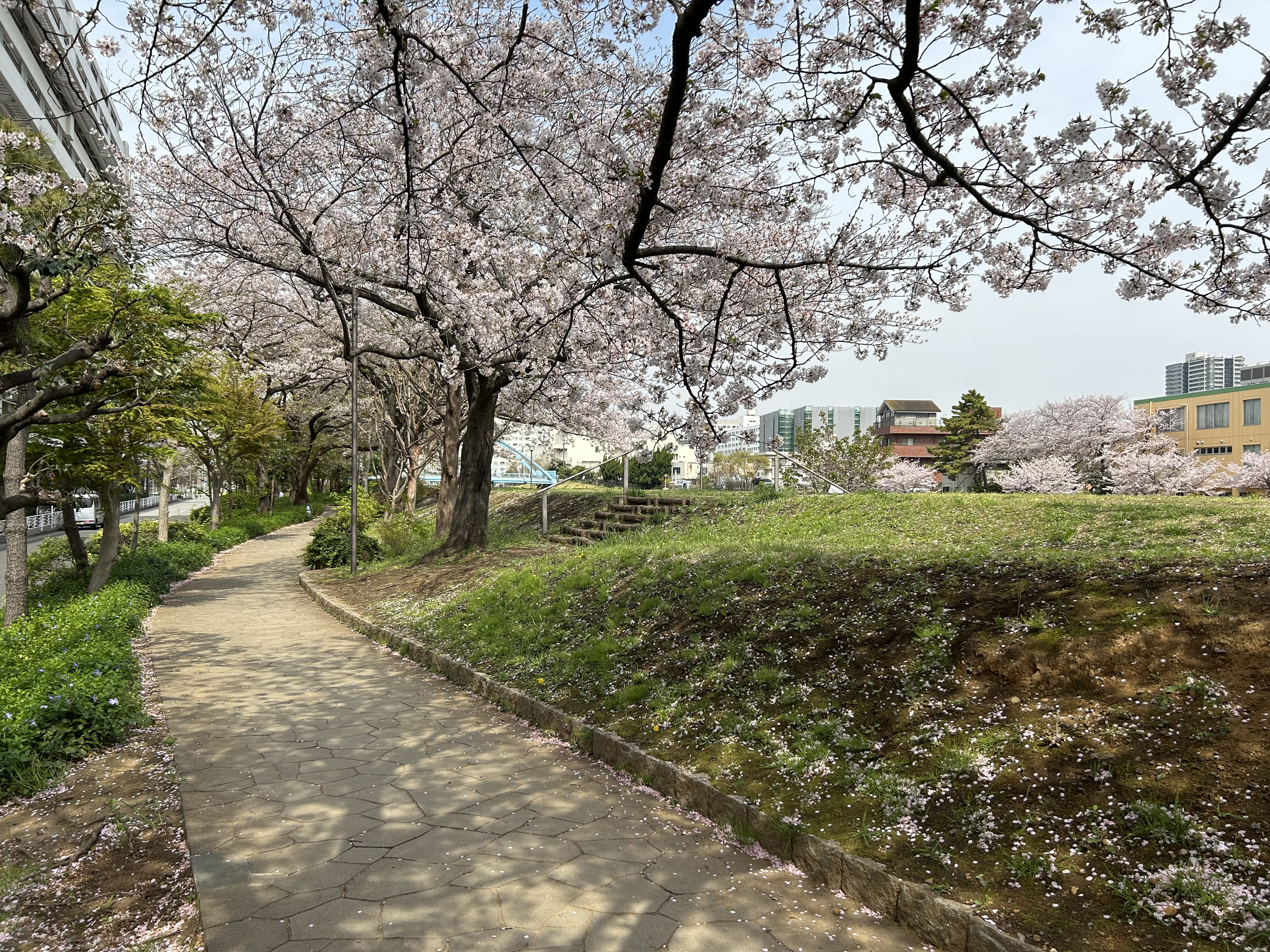 亀戸九丁目緑道公園 画像3