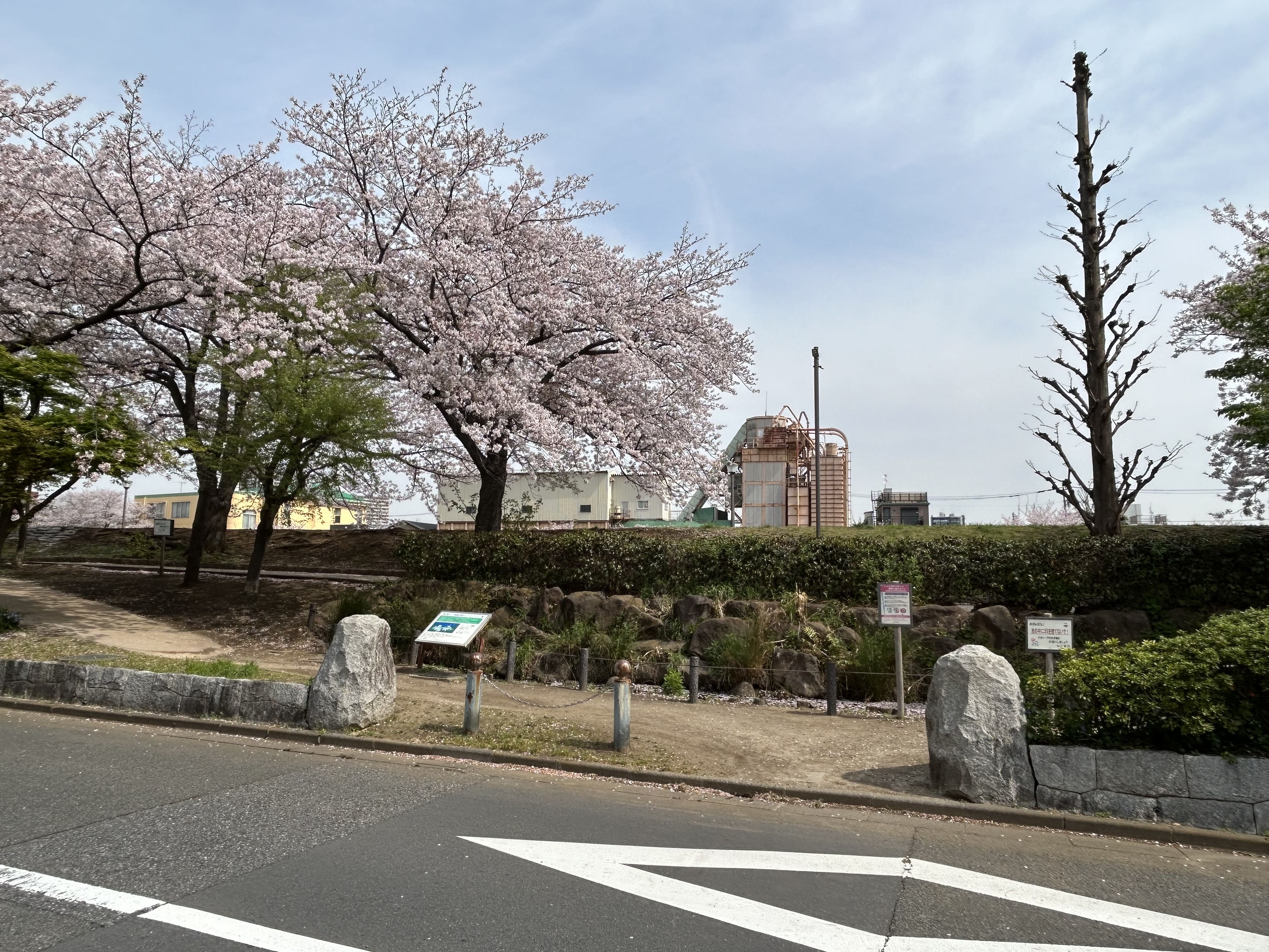 亀戸九丁目緑道公園 画像5