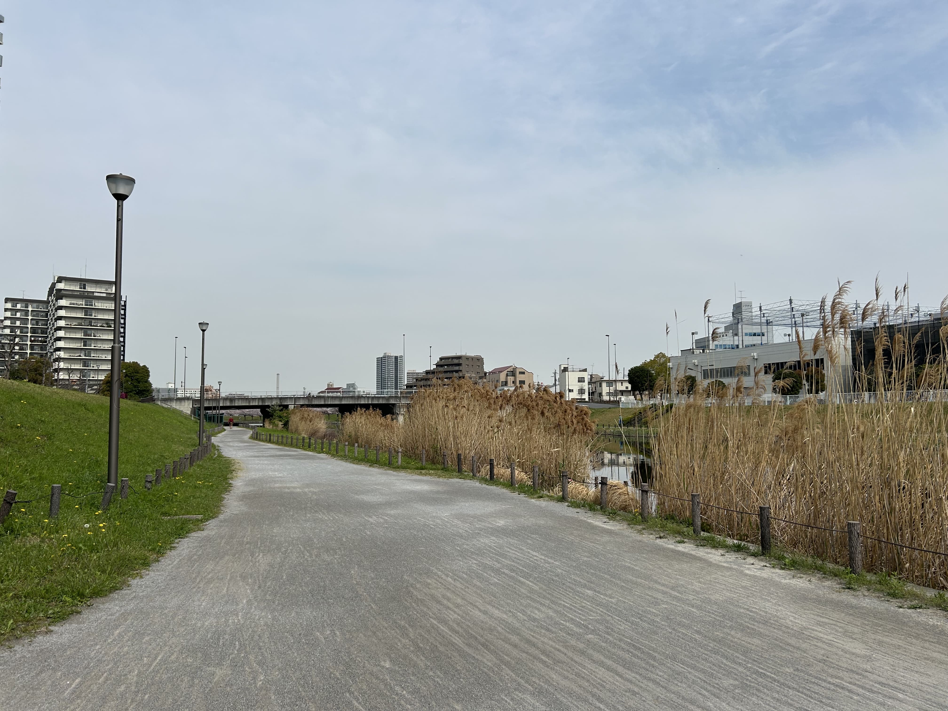 旧中川水辺公園 画像3