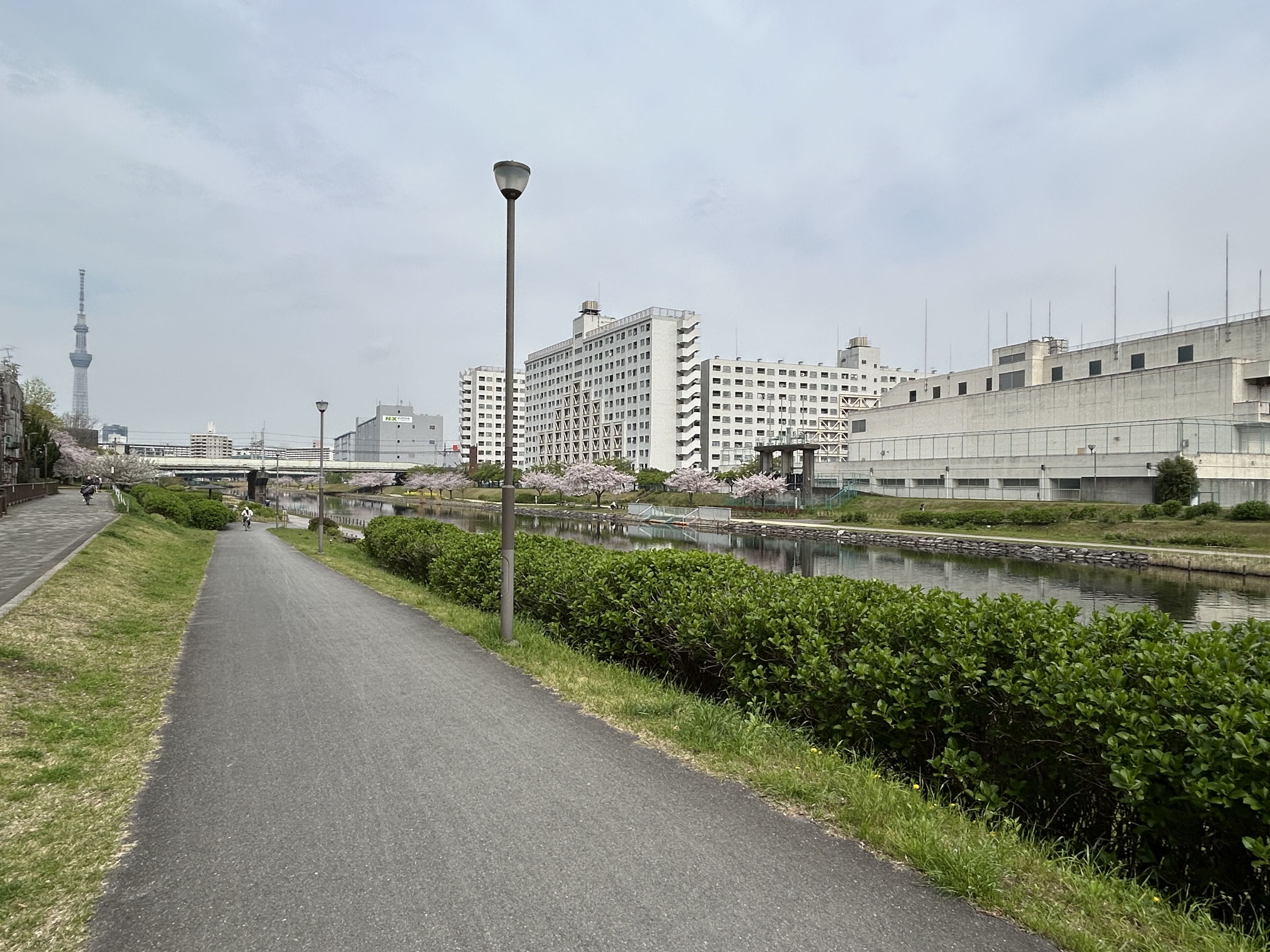 旧中川水辺公園 画像5