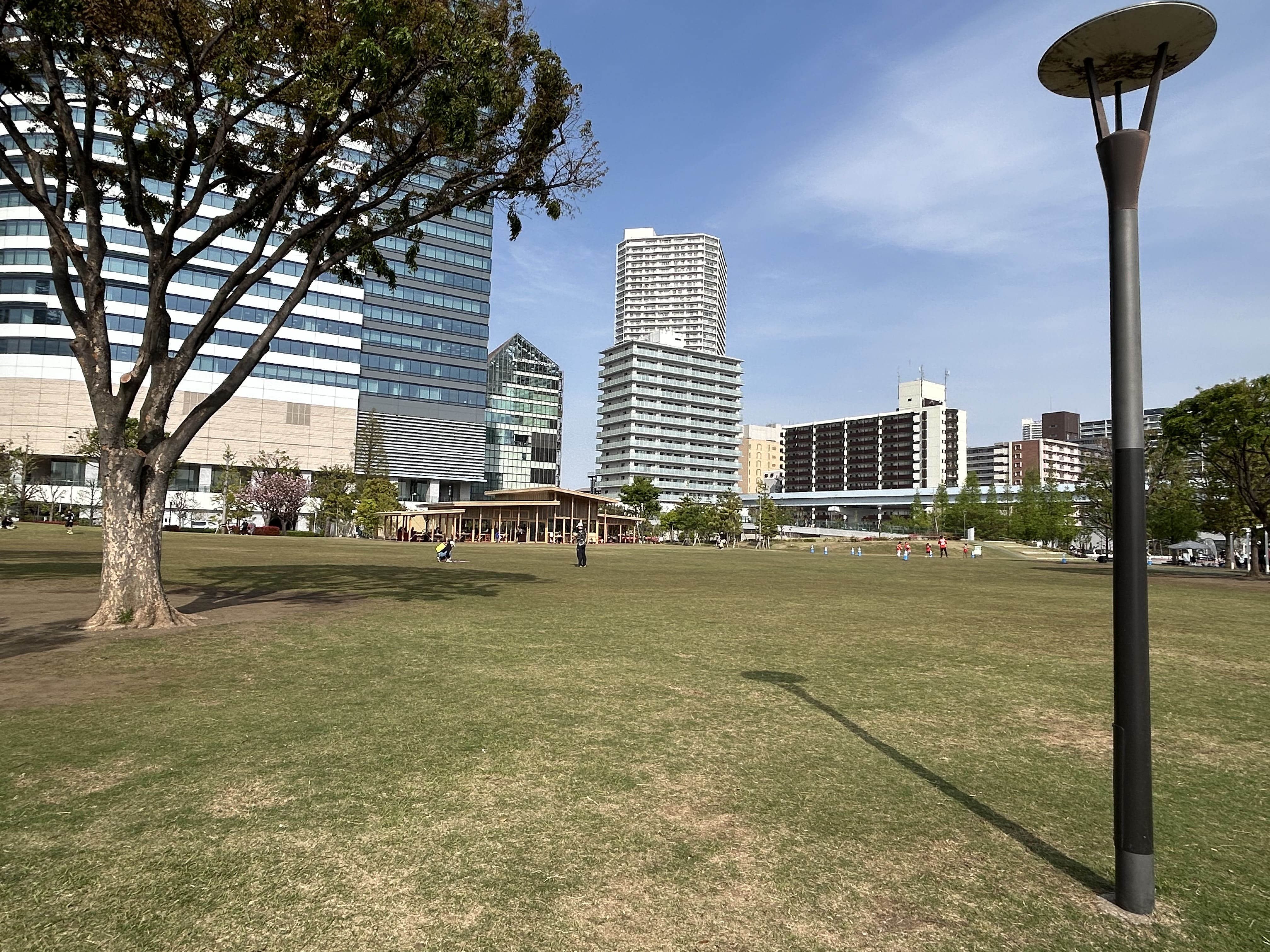 豊洲公園 画像4