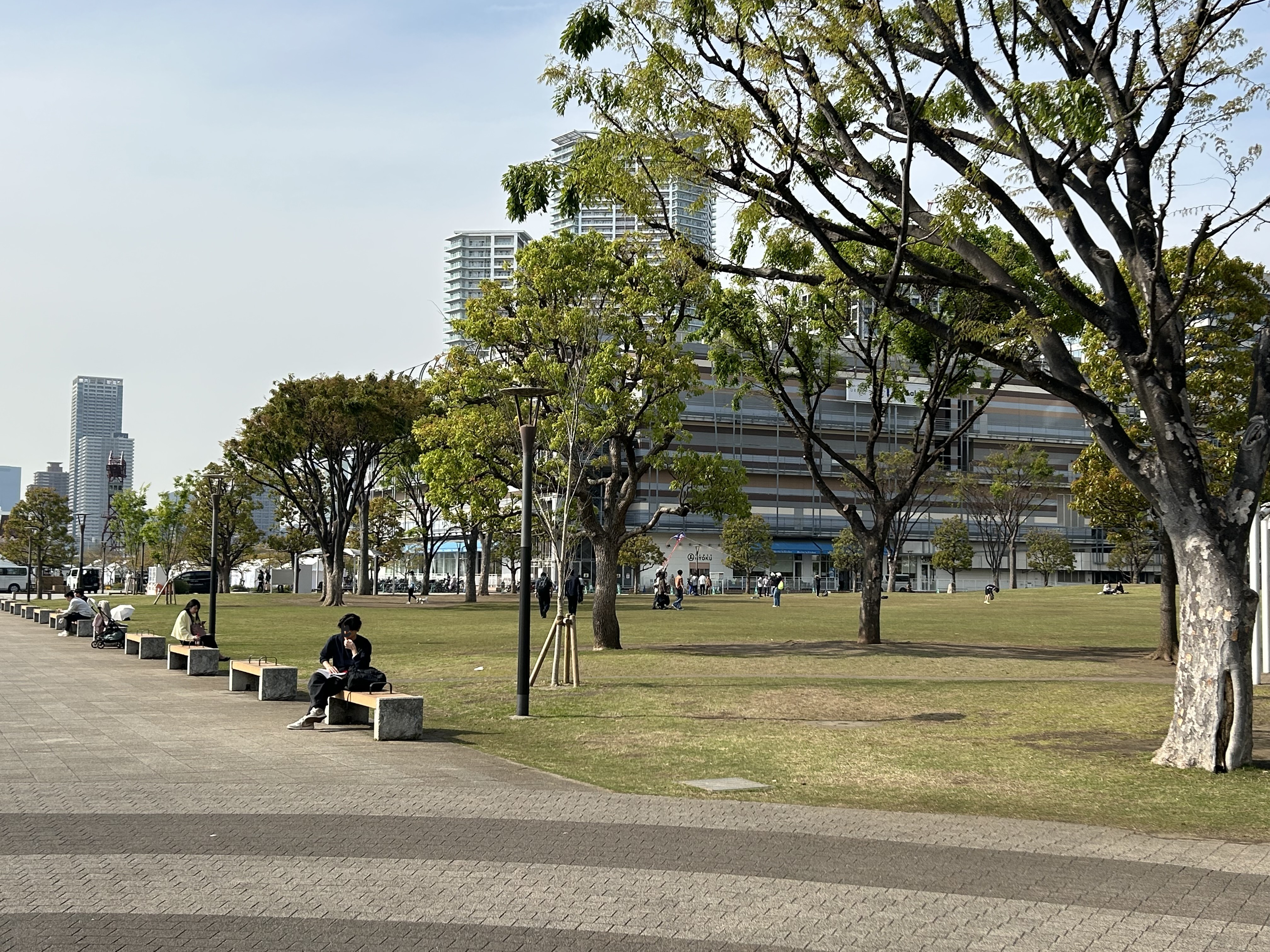 豊洲公園 画像5