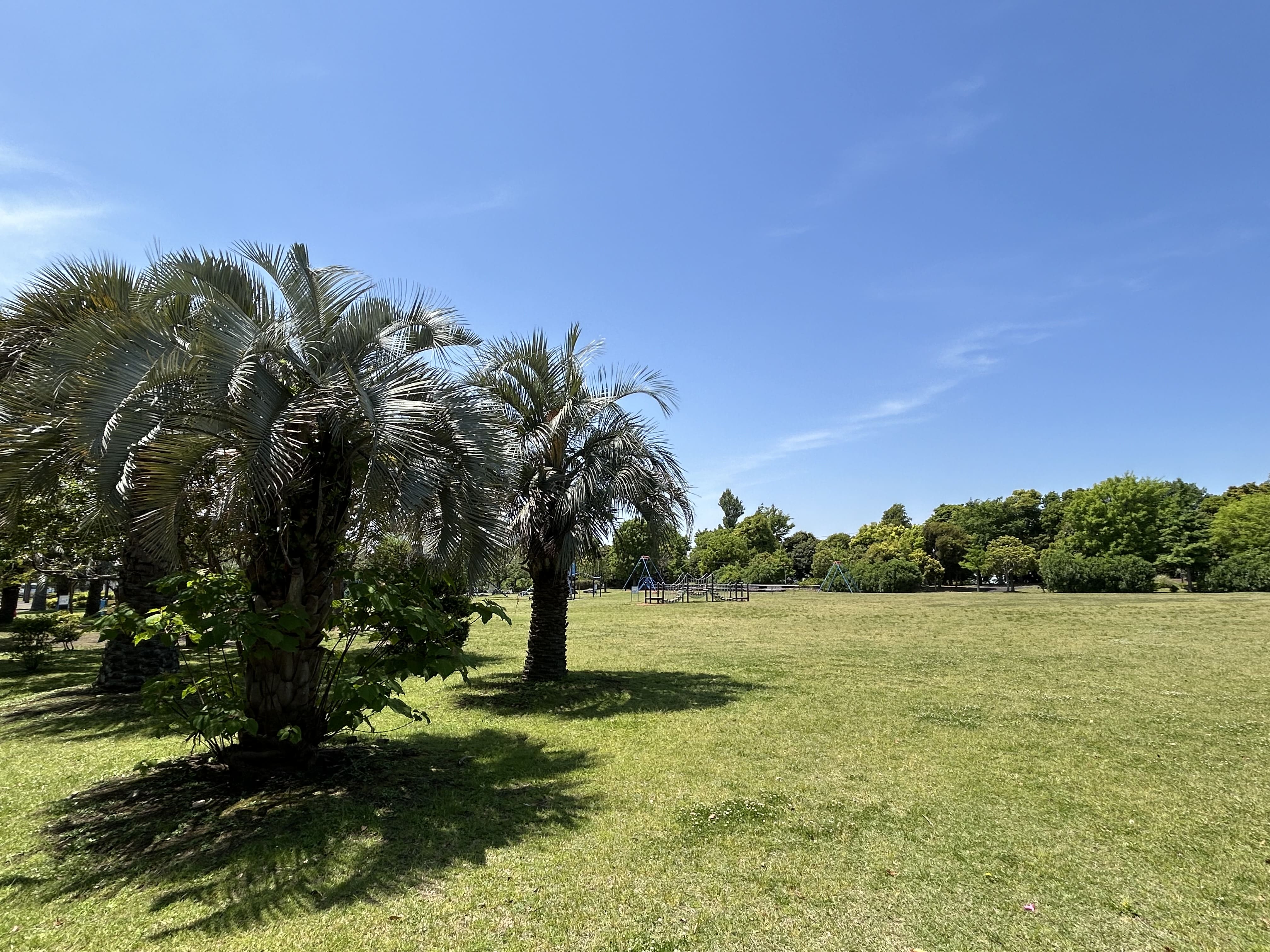 若洲公園 画像2