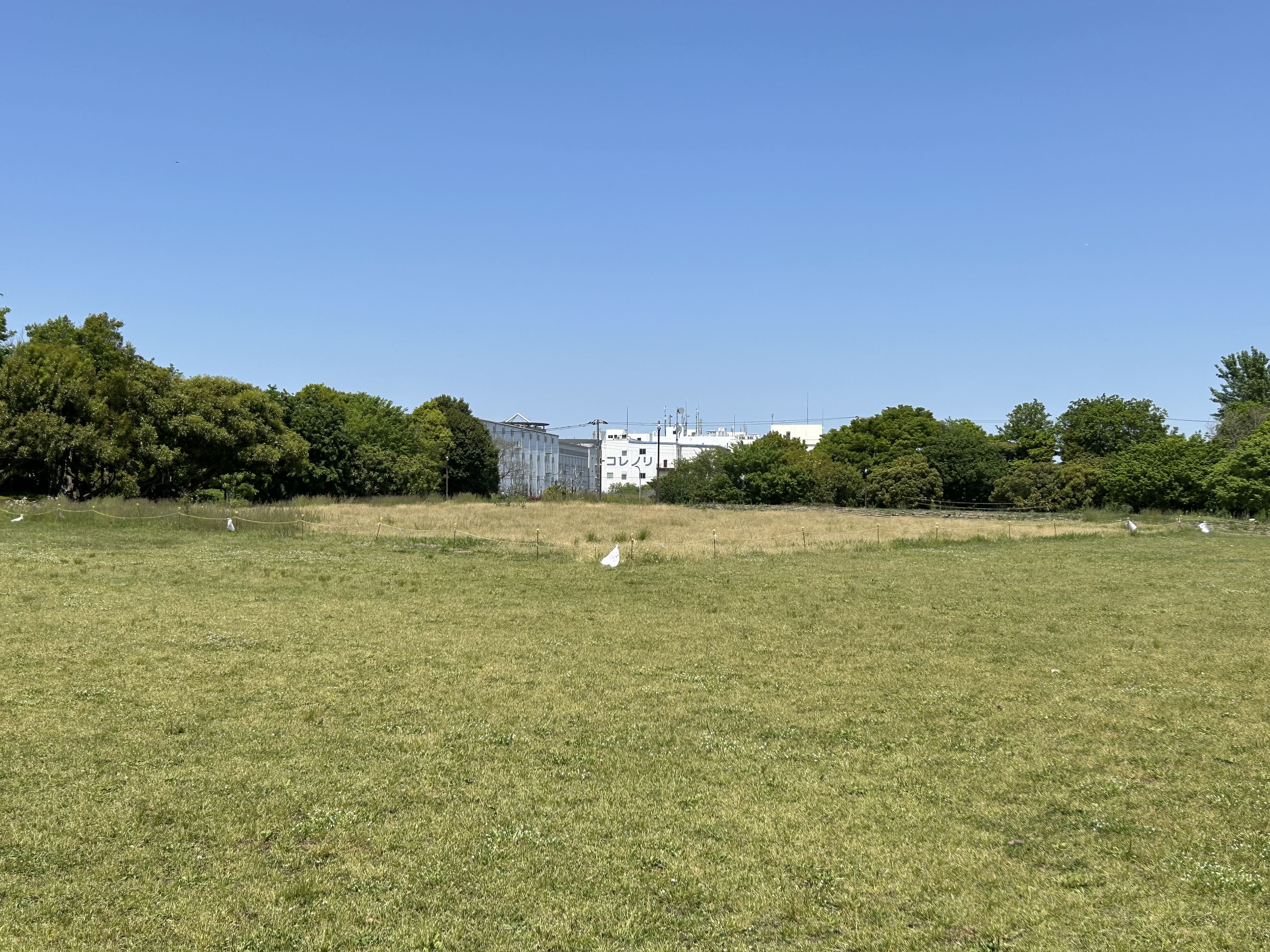 若洲公園 画像4