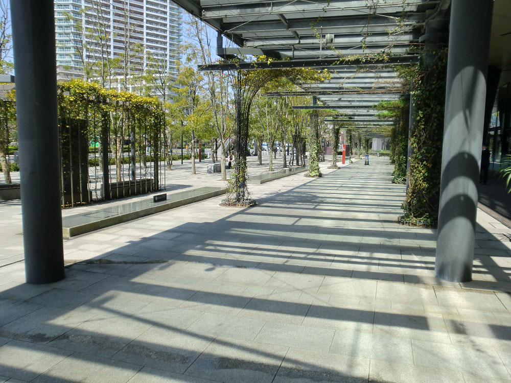 豊洲キュービックガーデン 画像2