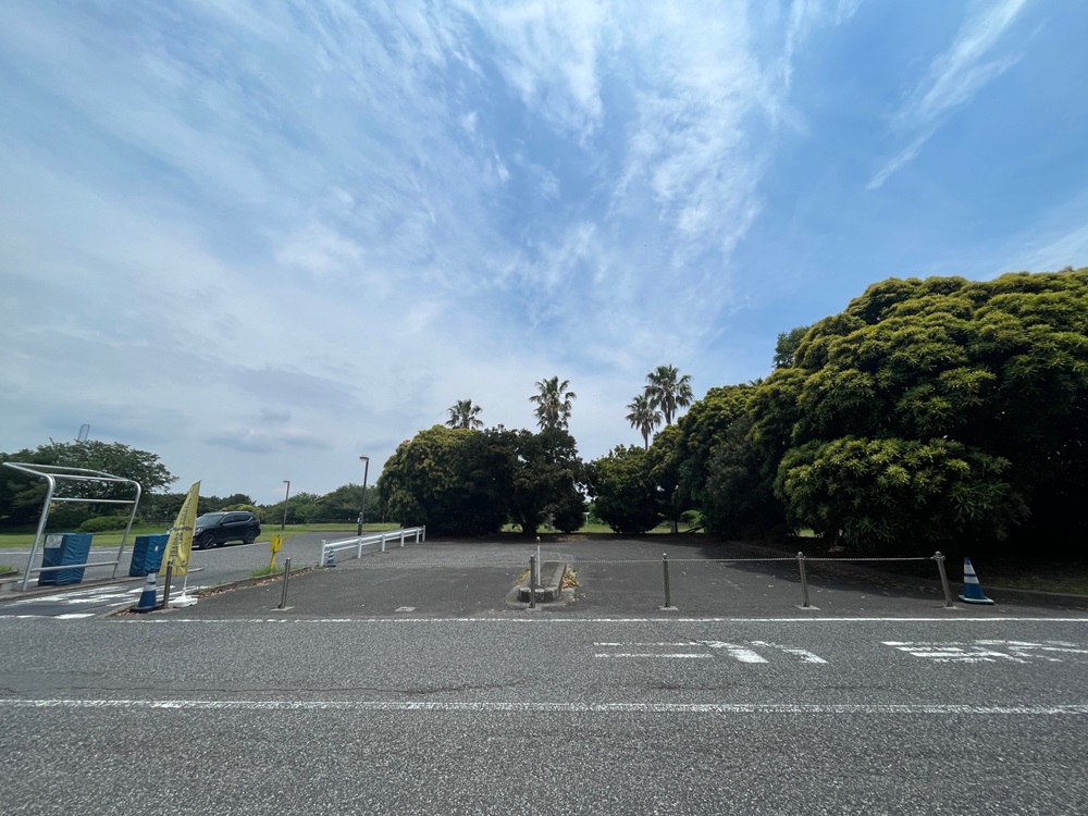 東京夢の島マリーナ 画像4