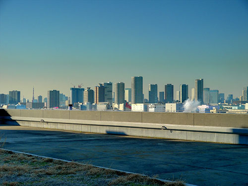 屋上ロケ地 山櫻