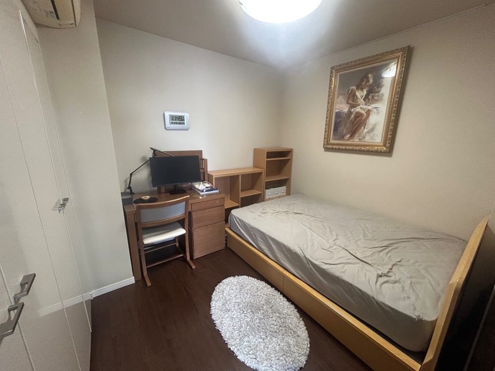 豊洲タワーマンション 画像2