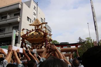 深川八幡まつり(富岡八幡宮例祭)／令和8年8月16日連合渡御