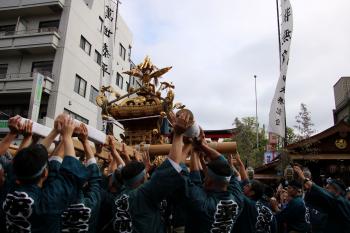 深川八幡まつり(富岡八幡宮例祭)／令和8年8月16日連合渡御