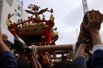 深川八幡まつり(富岡八幡宮例祭)／令和8年8月16日連合渡御