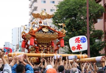 深川八幡まつり(富岡八幡宮例祭)／令和8年8月16日連合渡御