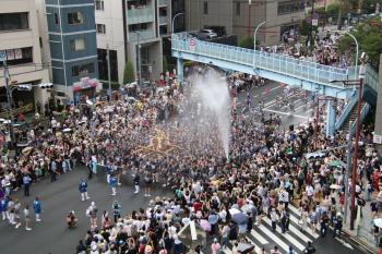 深川八幡まつり(富岡八幡宮例祭)／令和8年8月16日連合渡御