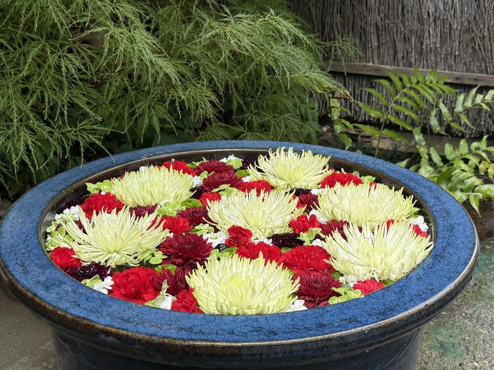 深川おどり 深川花手水