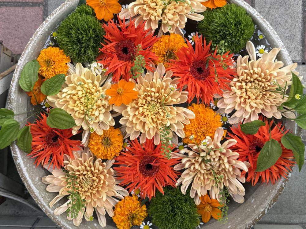 中華 三幸苑 深川花手水