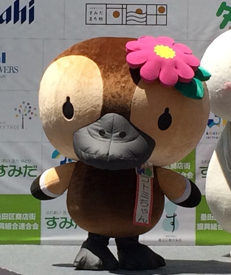 『ご当地キャラクターフェスティバル in すみだ 2018』に、江東区観光キャラクター“コトミちゃん”が参加します。