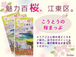 『こうとうの桜まっぷ　魅力百桜、江東区。』を発行しました！